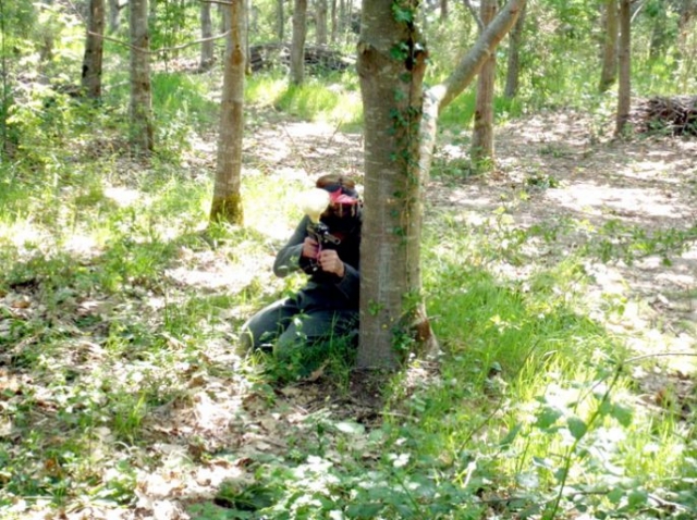  In Ambush 